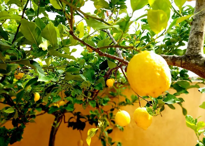 דירה Ines - Depandance טביאנו