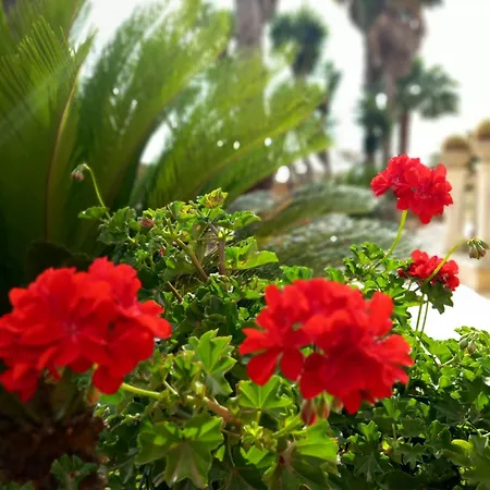 Ines - Depandance Apartment Taviano (Lecce)