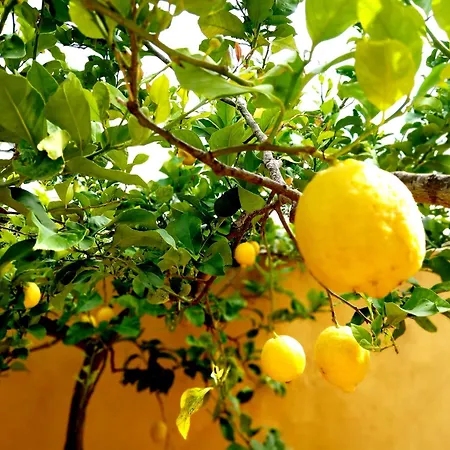 Apartment Ines - Depandance Taviano (Lecce)